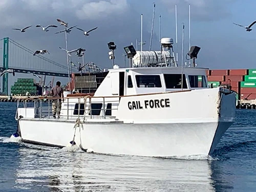 Gail Force Sportfishing